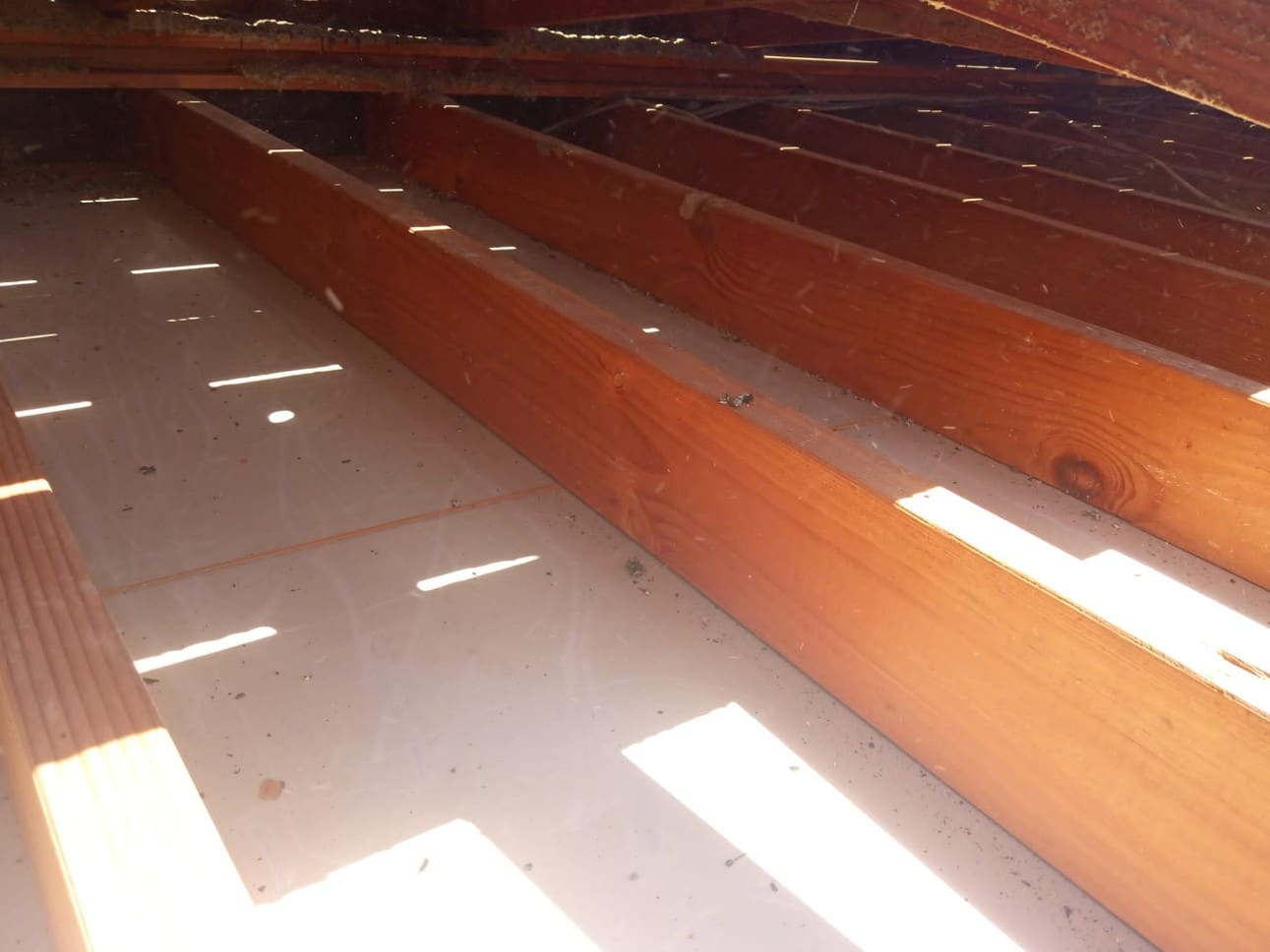 attic insulation replacement company in Wlanut Creek California