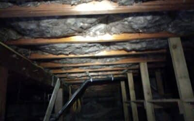 Saving Money and Energy: How Crawl Space Insulation Reduces Utility Bills